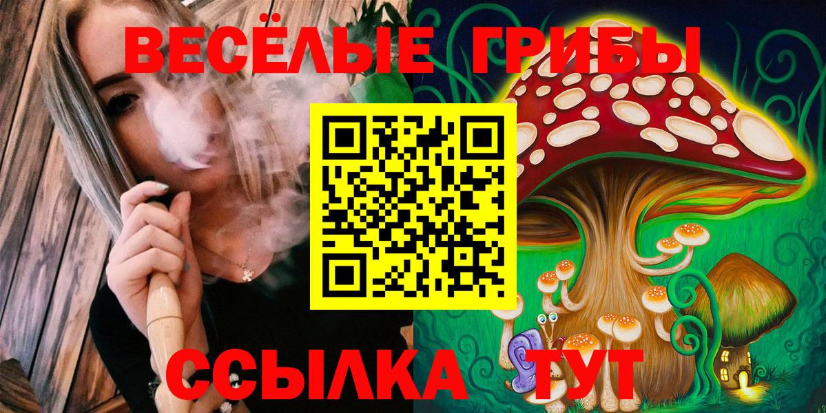 Псилоцибиновые грибы Psilocybine cubensis Сергиев Посад